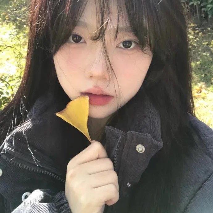 歌舞团的女人们 海报
