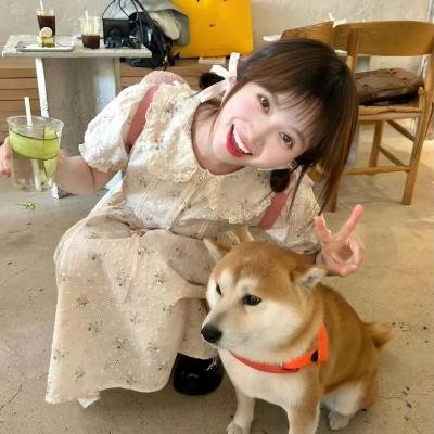 若问世界谁无伤 海报